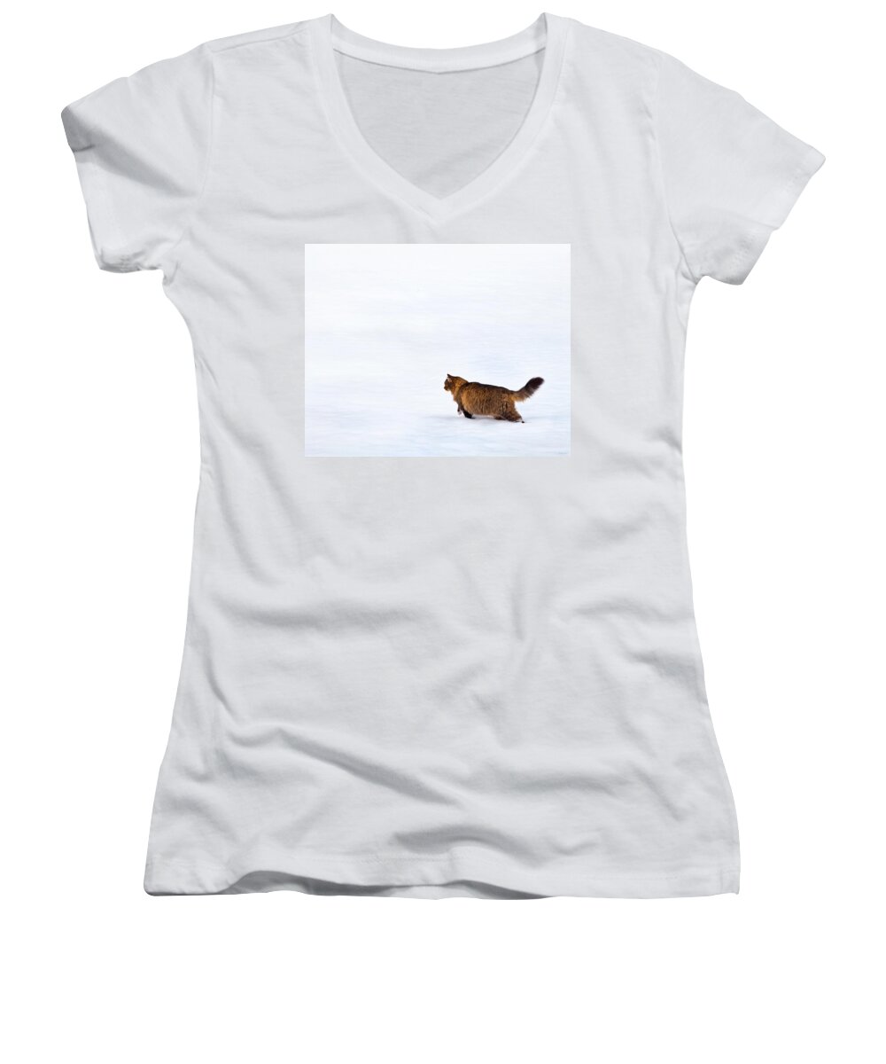 Domestic Cats Women's V-Neck featuring the photograph Hunter At Work by Theresa Tahara