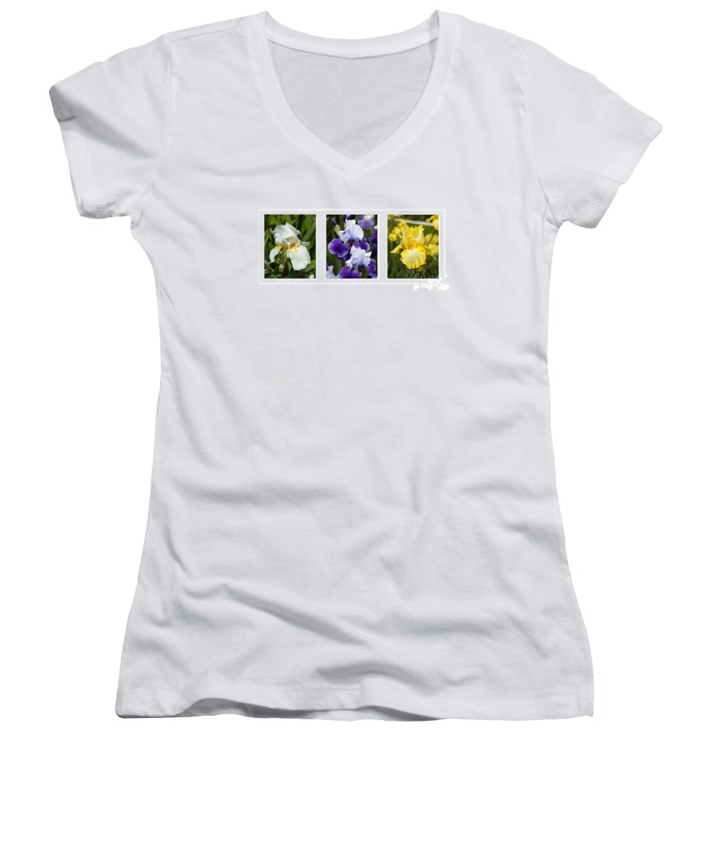 Three Spring Iris Flowers Flower Photographs In Purple White Yellow Women's V-Neck featuring the photograph Iris Flowers in Purple White Yellow All in One by Jerry Cowart