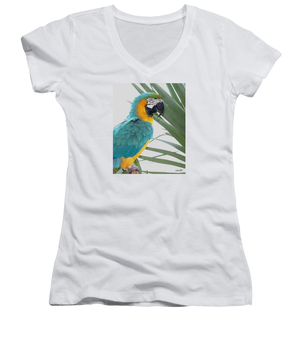 Bird Women's V-Neck featuring the photograph Islamorada Parrot - of the Macaw Persuasion by Lin Grosvenor