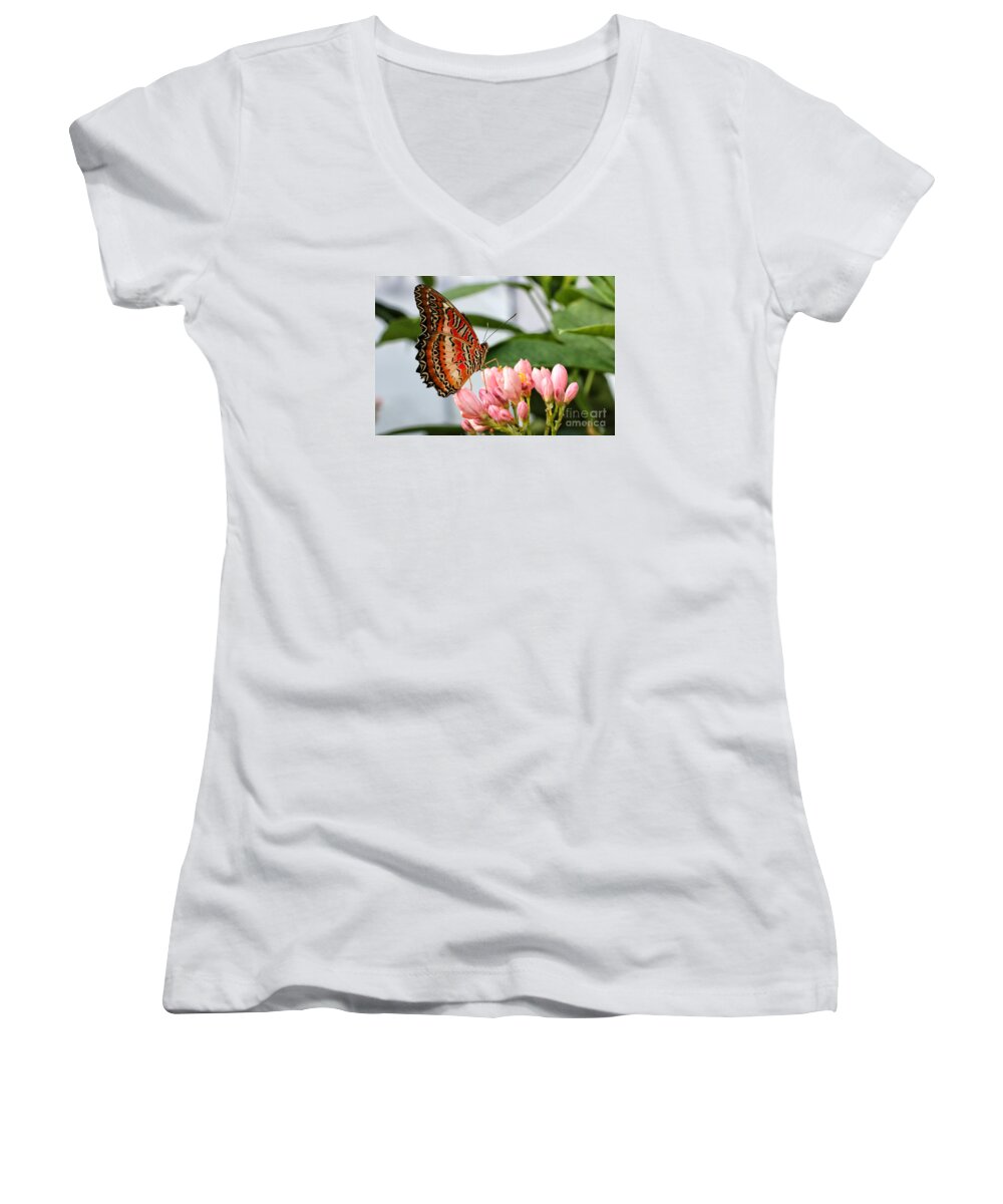 Butterfly Women's V-Neck featuring the photograph Just Pink Butterfly by Shari Nees