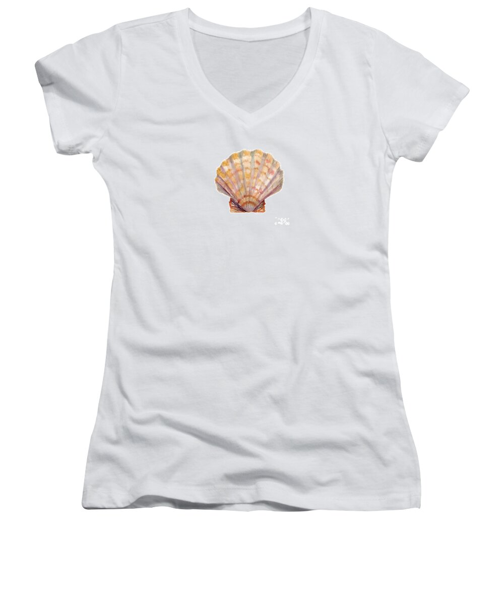 Shell Women's V-Neck featuring the painting Lion's Paw Shell by Amy Kirkpatrick