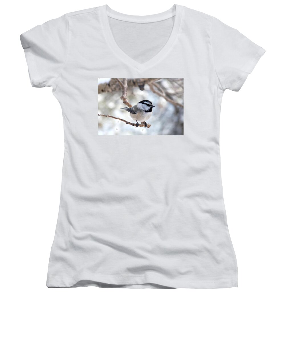 Colorado Women's V-Neck featuring the photograph Mountain Chickadee on Branch by Marilyn Burton