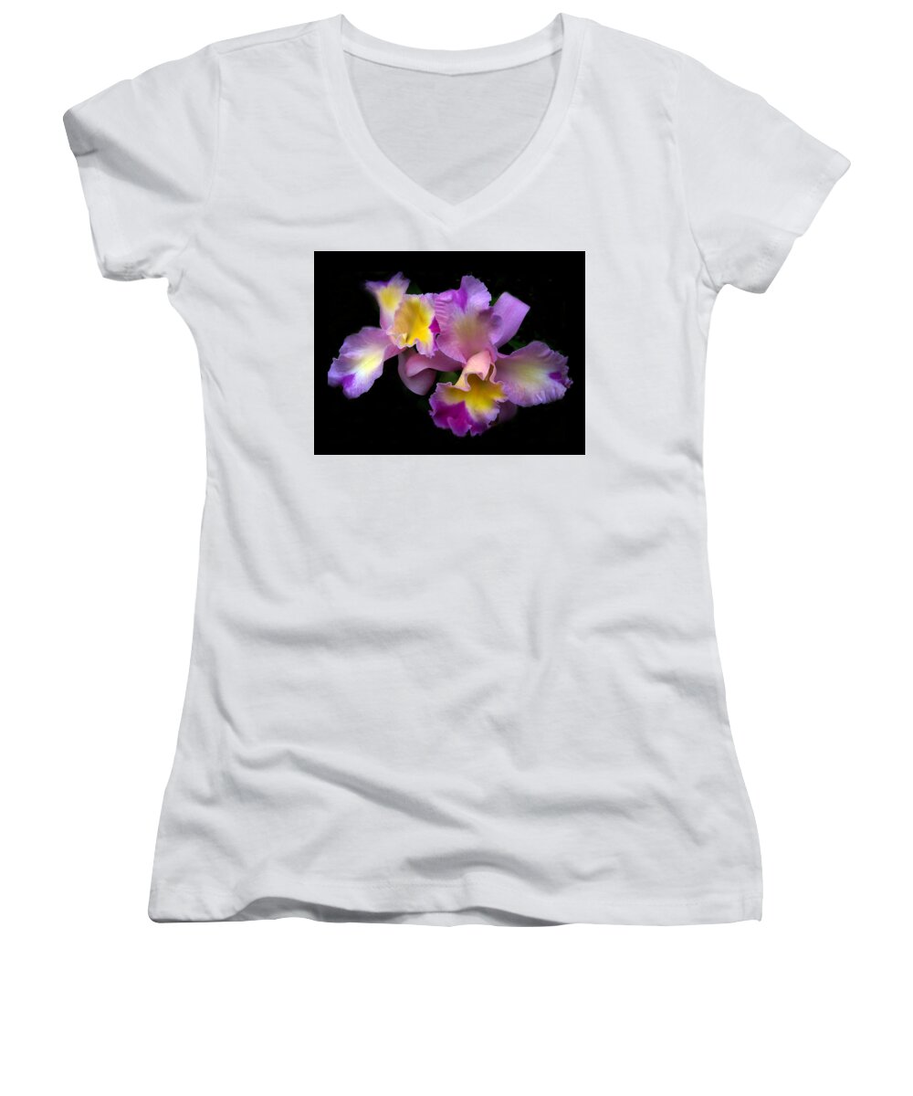 Flowers Women's V-Neck featuring the photograph Orchid Embrace by Jessica Jenney