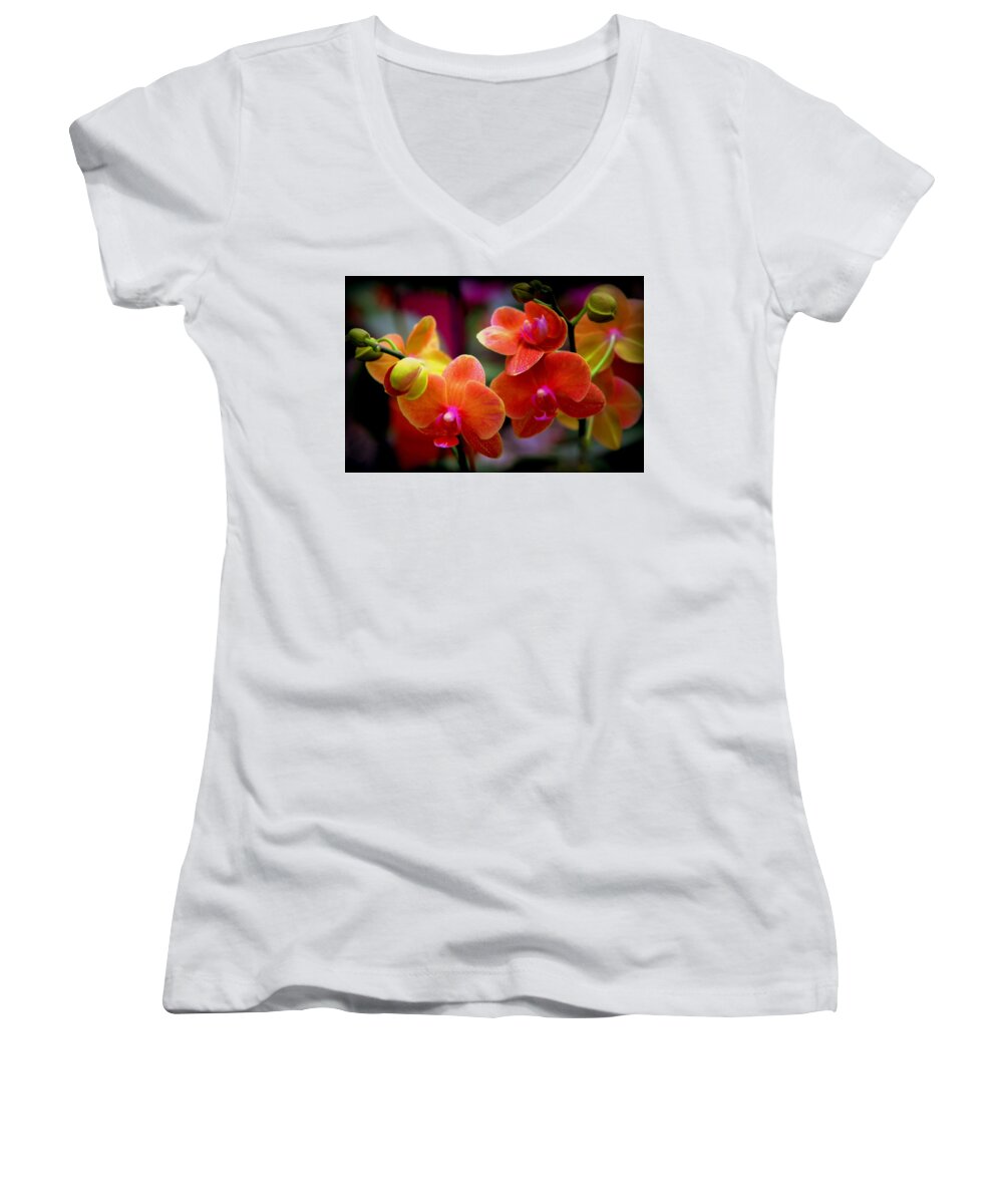 Orchids Women's V-Neck featuring the photograph Orchid Melody by Karen Wiles