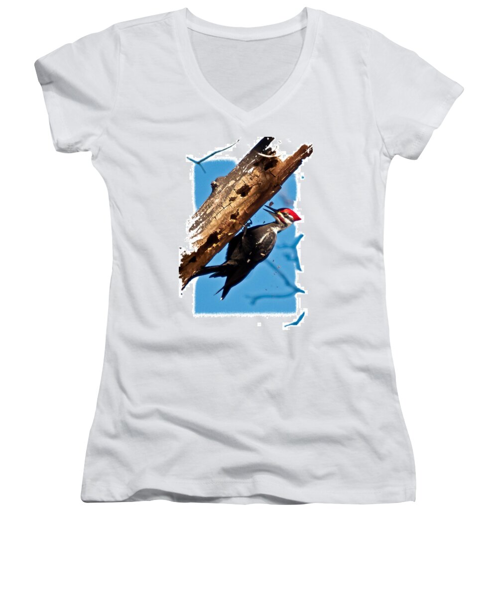 Pileated Woodpecker Women's V-Neck featuring the photograph Pileated Woodpecker by Robert L Jackson