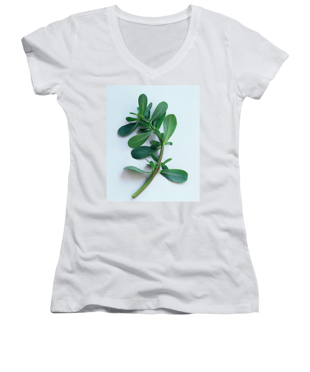 Fruits Women's V-Neck featuring the photograph Purslane by Romulo Yanes