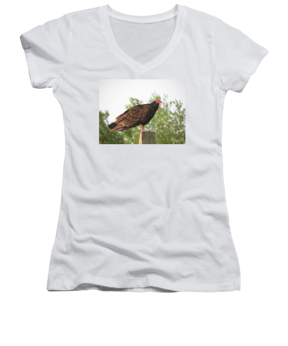 Nature Women's V-Neck featuring the photograph Redheaded Turkey Buzzard by Fortunate Findings Shirley Dickerson