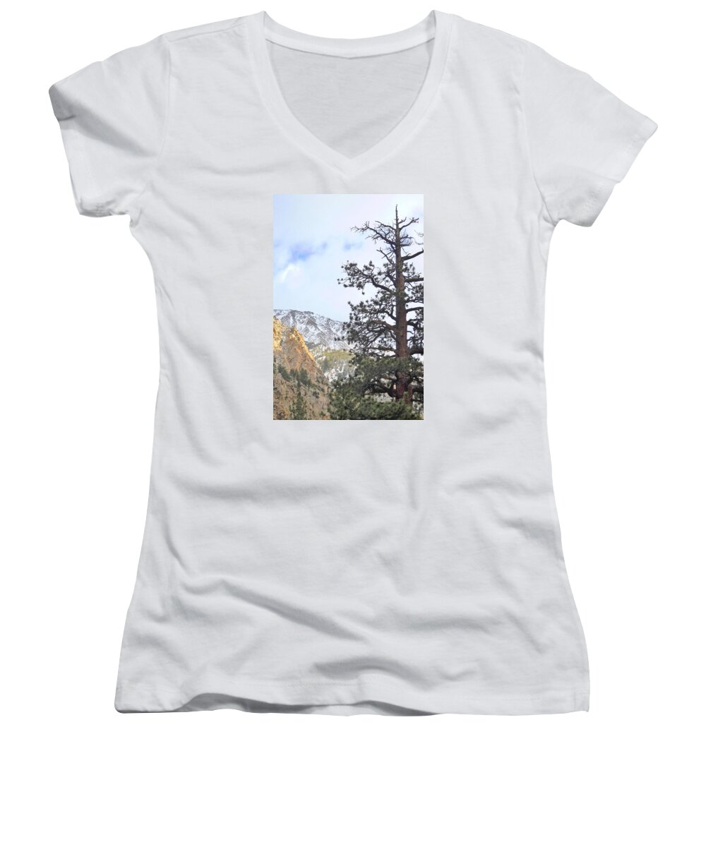 Pine Women's V-Neck featuring the photograph Simply by Marilyn Diaz