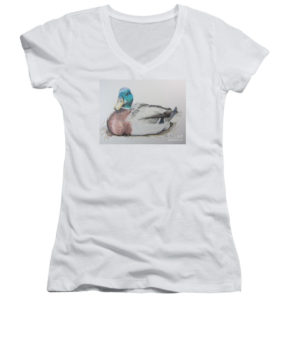 Mallard Women's V-Neck featuring the drawing Sitting Duck by Laurianna Taylor