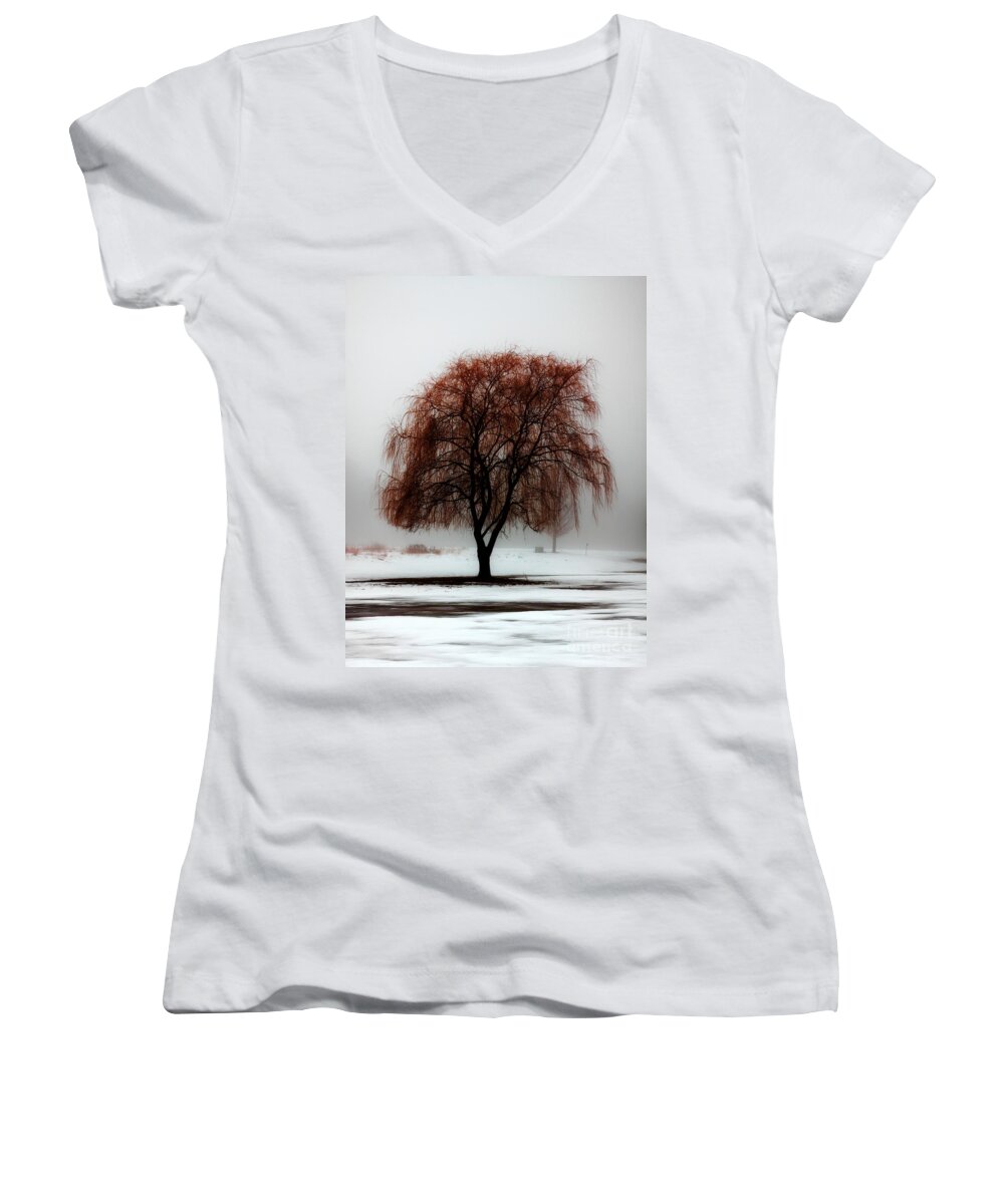 Weeping Willow Women's V-Neck featuring the photograph Sleeping Willow by Rick Kuperberg Sr