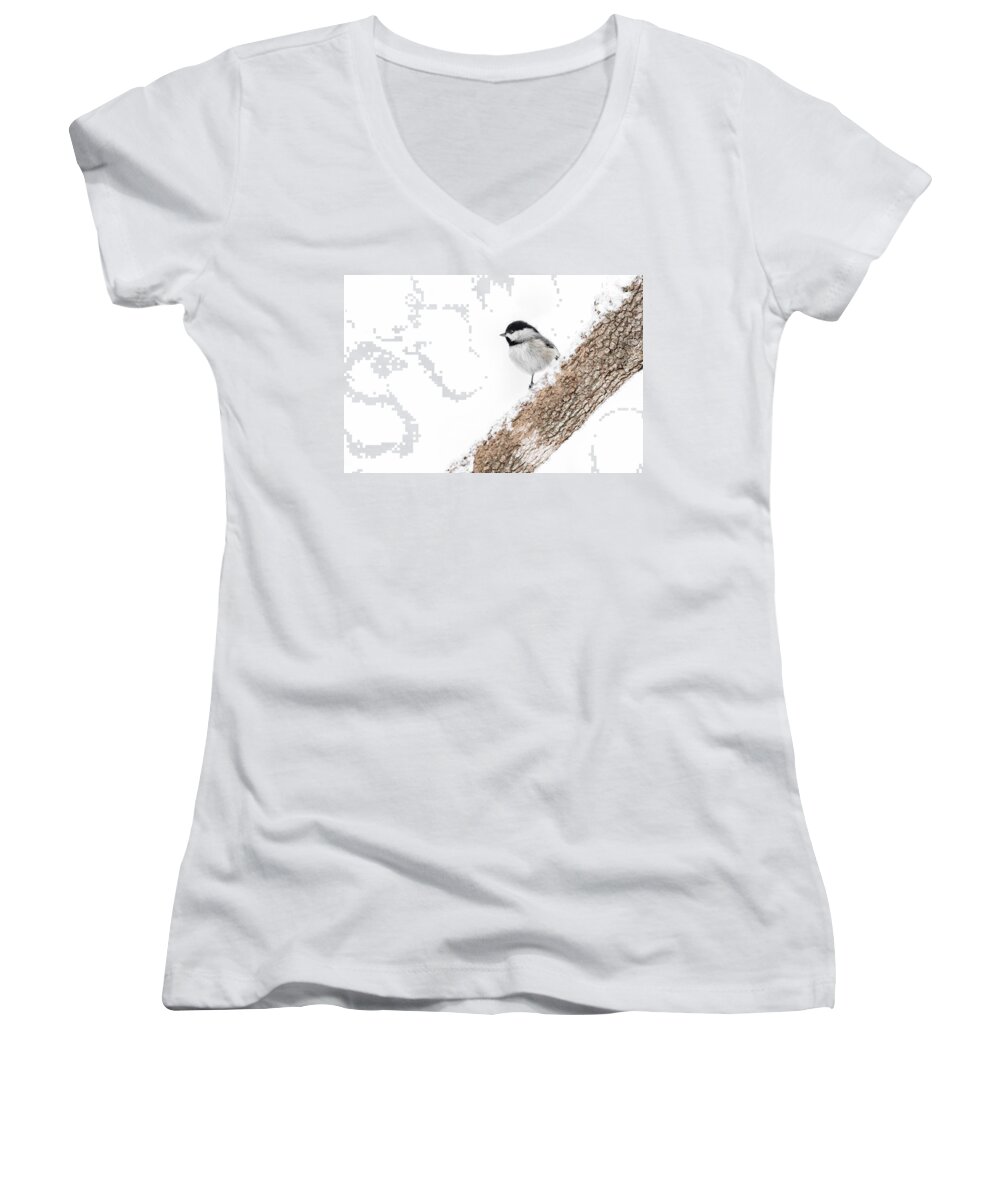 K-30 Women's V-Neck featuring the photograph Snowy Chickadee by Lori Coleman