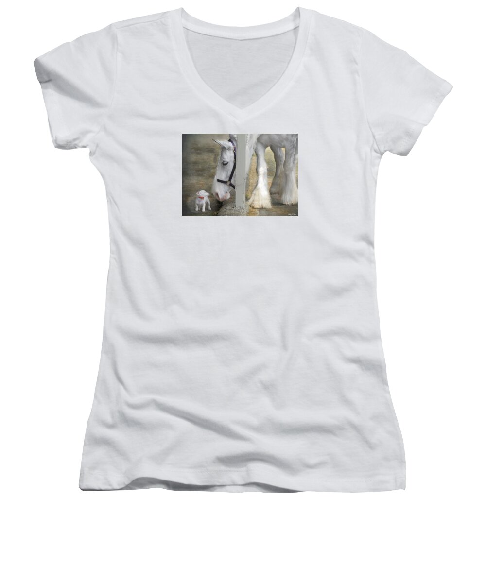 Horses Women's V-Neck featuring the photograph Sparky and Sterling Silvia by Fran J Scott