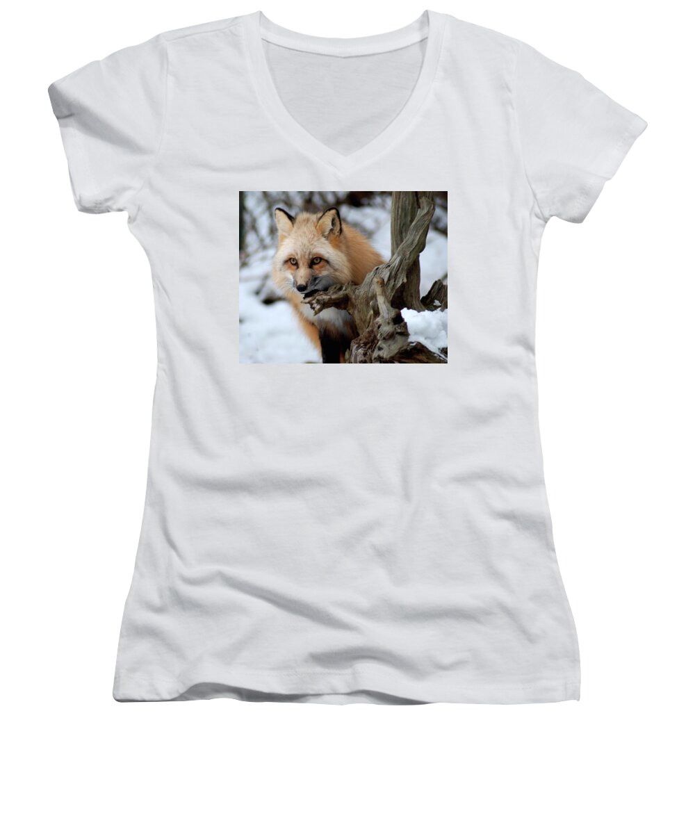 Fox Women's V-Neck featuring the photograph Stunning Sierra by Richard Bryce and Family