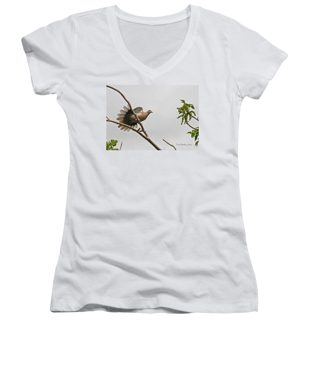 The New Dove Women's V-Neck featuring the photograph The New Dove In Town by Tom Janca