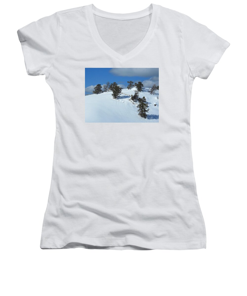 Snow Women's V-Neck featuring the photograph The Trees Take a Snow Day by Michele Myers