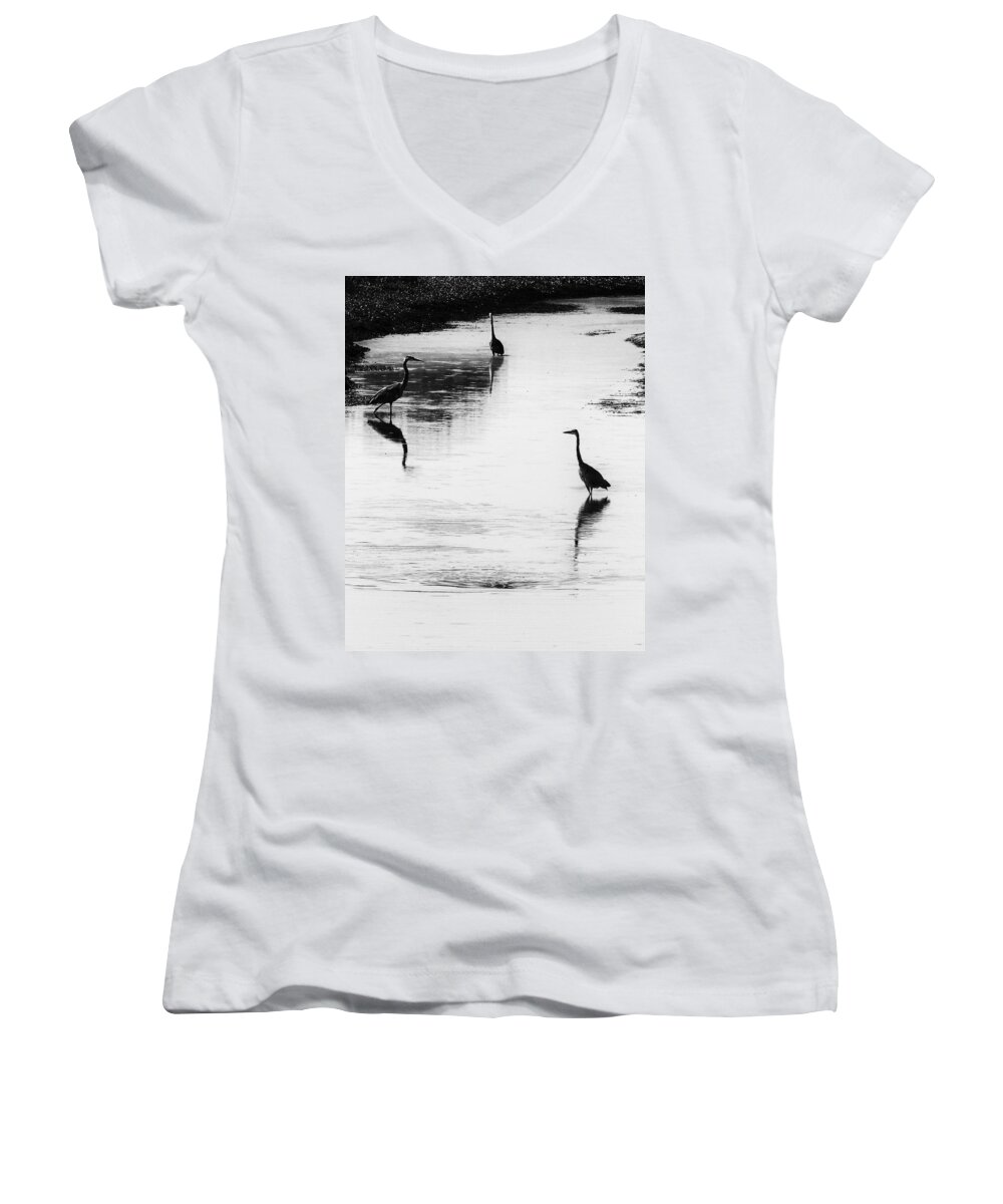 Great Blue Heron Women's V-Neck featuring the photograph Trilogy - Black and White by Belinda Greb