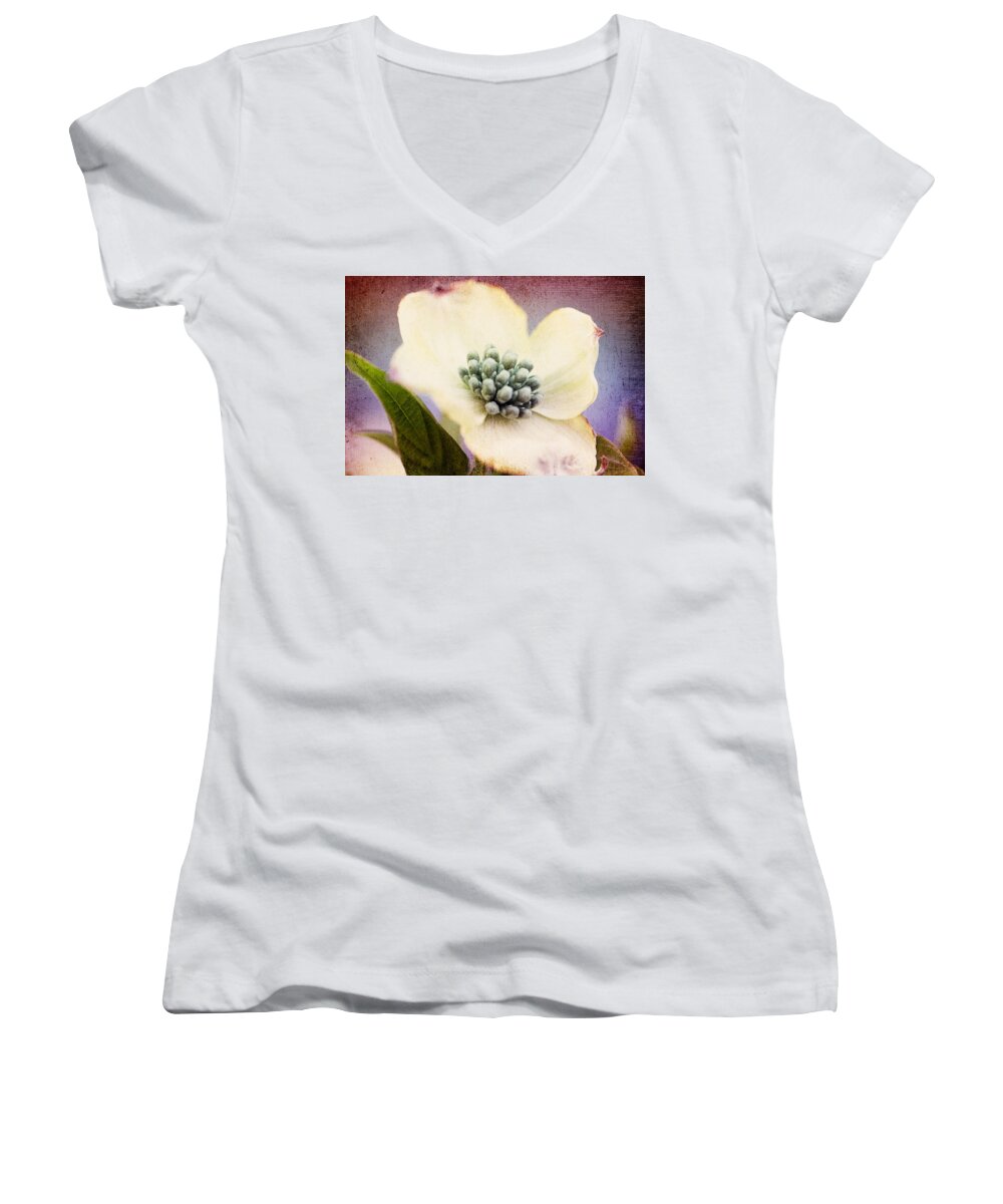 Dogwood Blossom Women's V-Neck featuring the photograph Vintage Dogwood Blossom by Trina Ansel