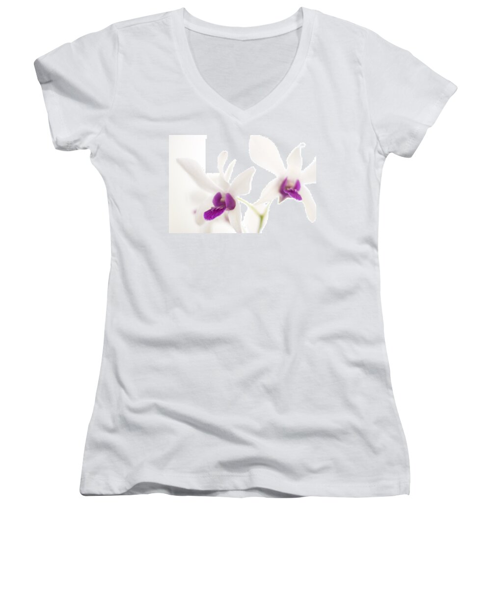 Orchid Women's V-Neck featuring the photograph White Orchids by Bradley R Youngberg