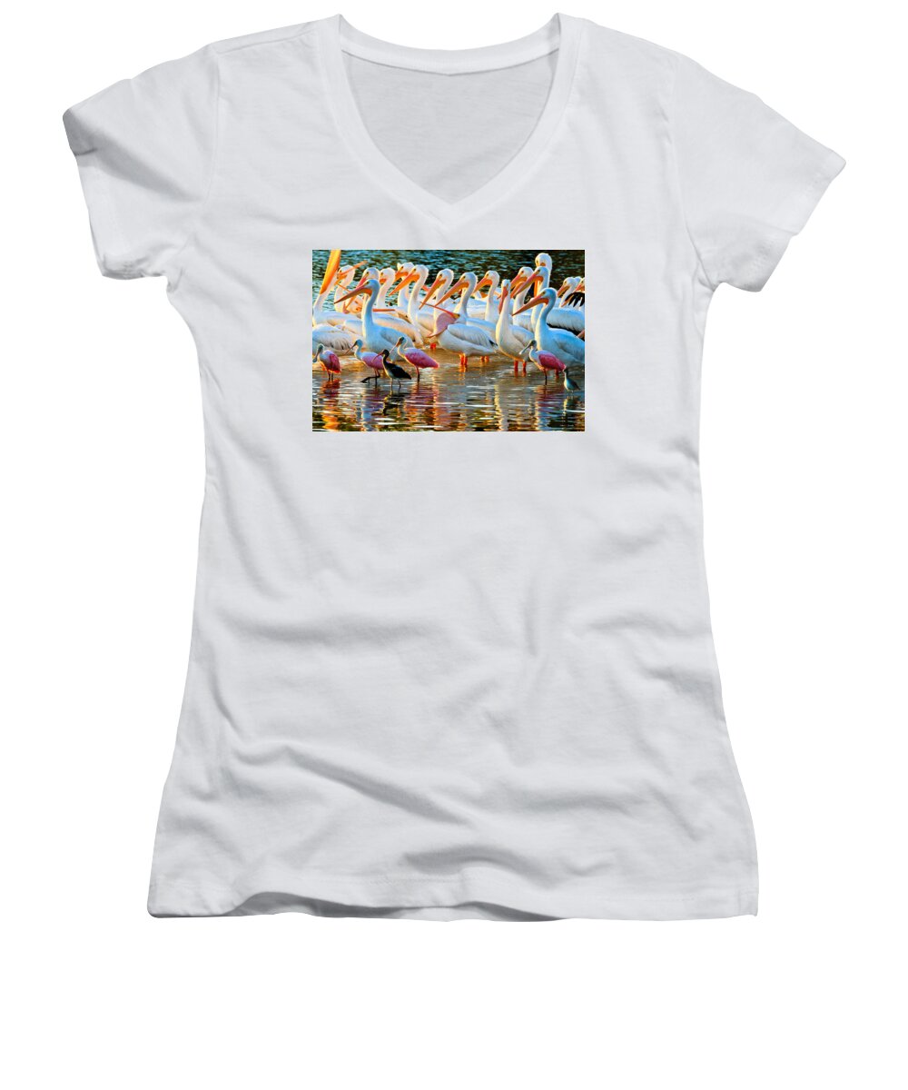 Pelican Women's V-Neck featuring the photograph White Pelicans by Ben Graham