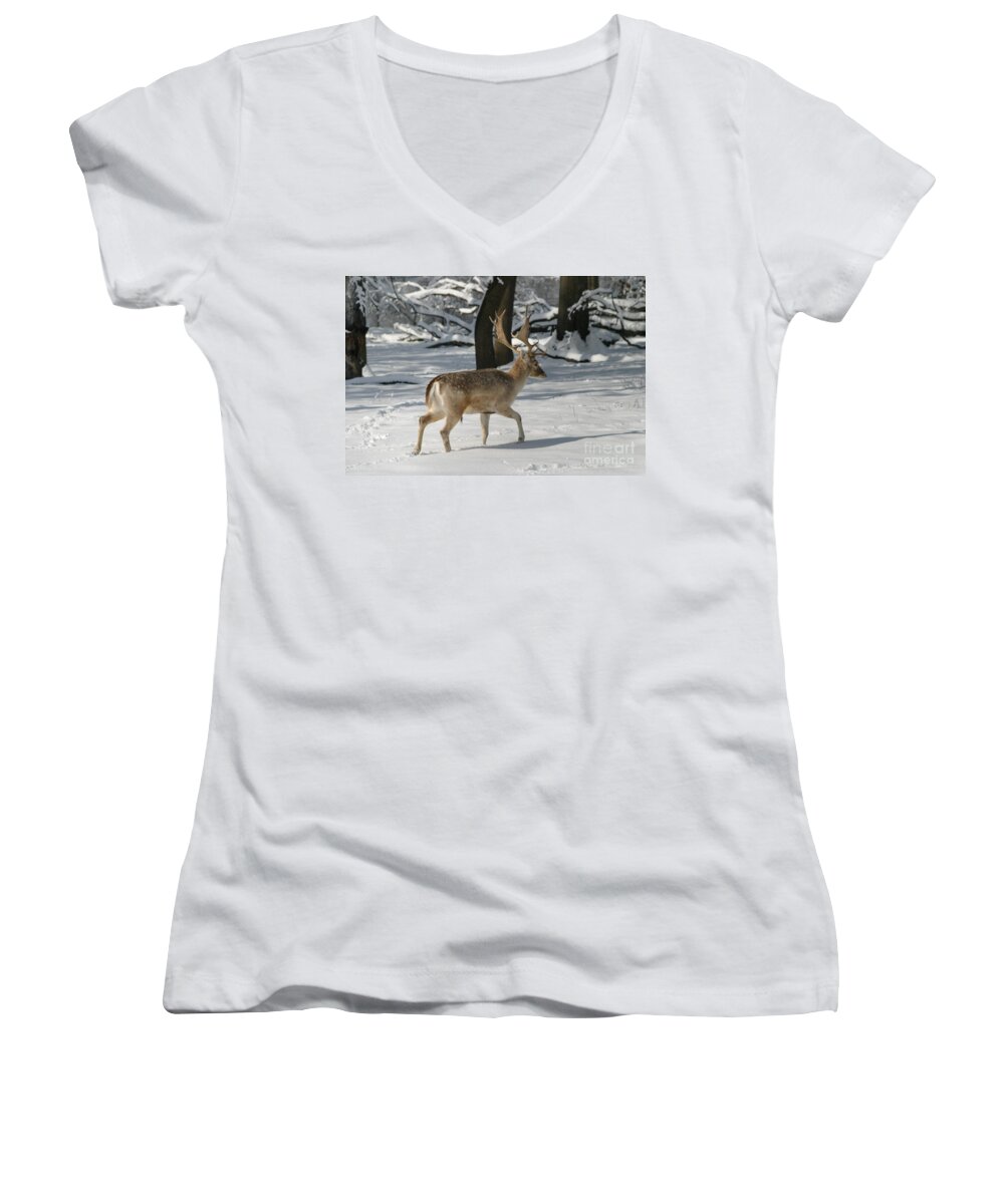 Deer Women's V-Neck featuring the photograph Winter Walk by Living Color Photography Lorraine Lynch