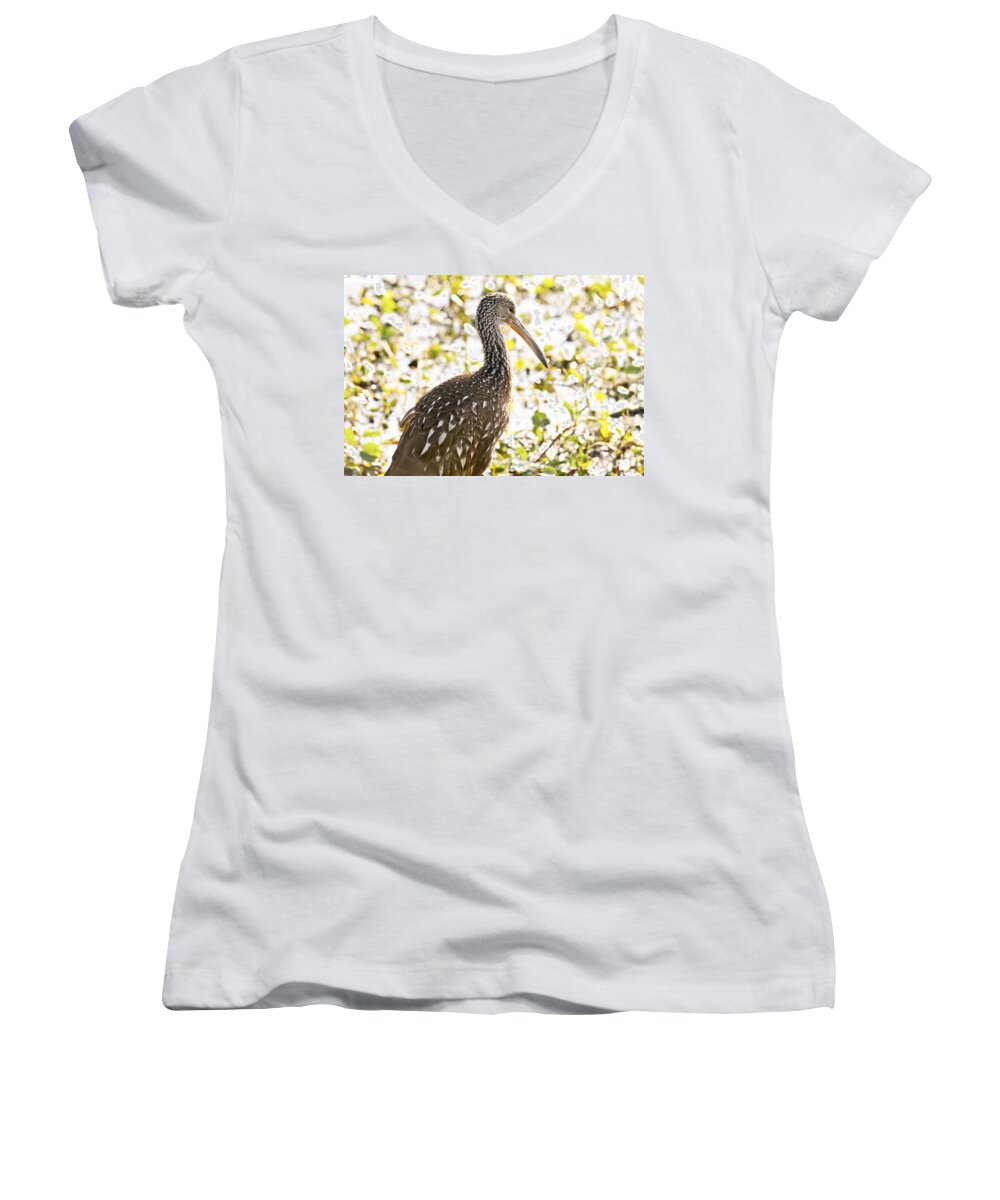 Limpkin Women's V-Neck featuring the photograph Limpkin Luster by Steven Sparks