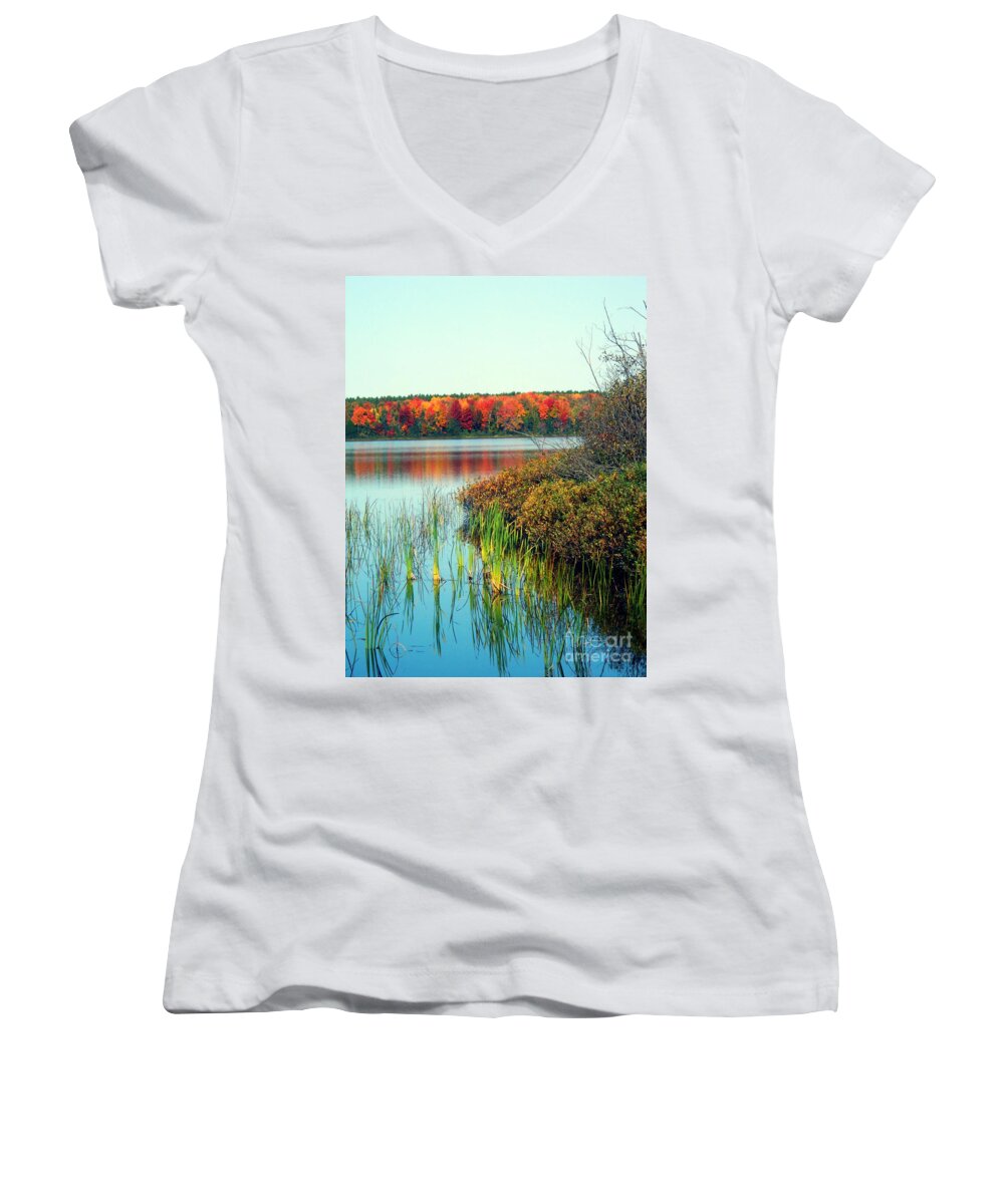 Pure Michigan Women's V-Neck featuring the photograph Pond in the Woods in Autumn by Desiree Paquette