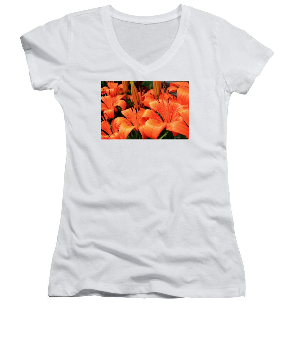 Orange Women's V-Neck featuring the photograph All consuming orange #1 by Trent Mallett
