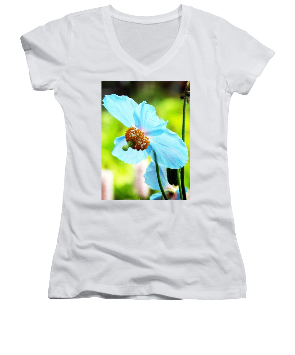 Himalayan Blue Poppy Women's V-Neck featuring the photograph Blue Poppy #2 by Zinvolle Art