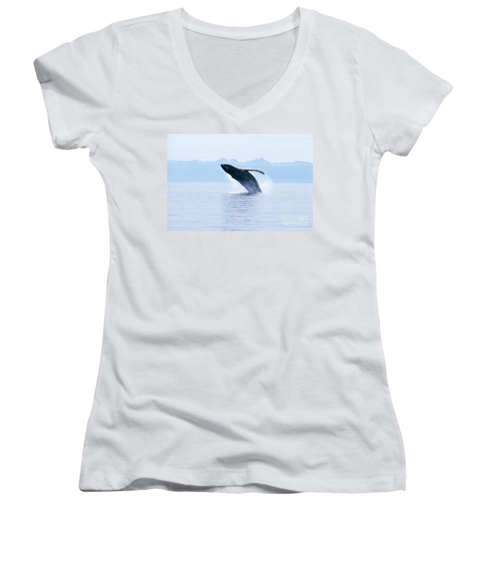 Active Women's V-Neck featuring the photograph Humpback Whale Breaching #1 by John Hyde - Printscapes
