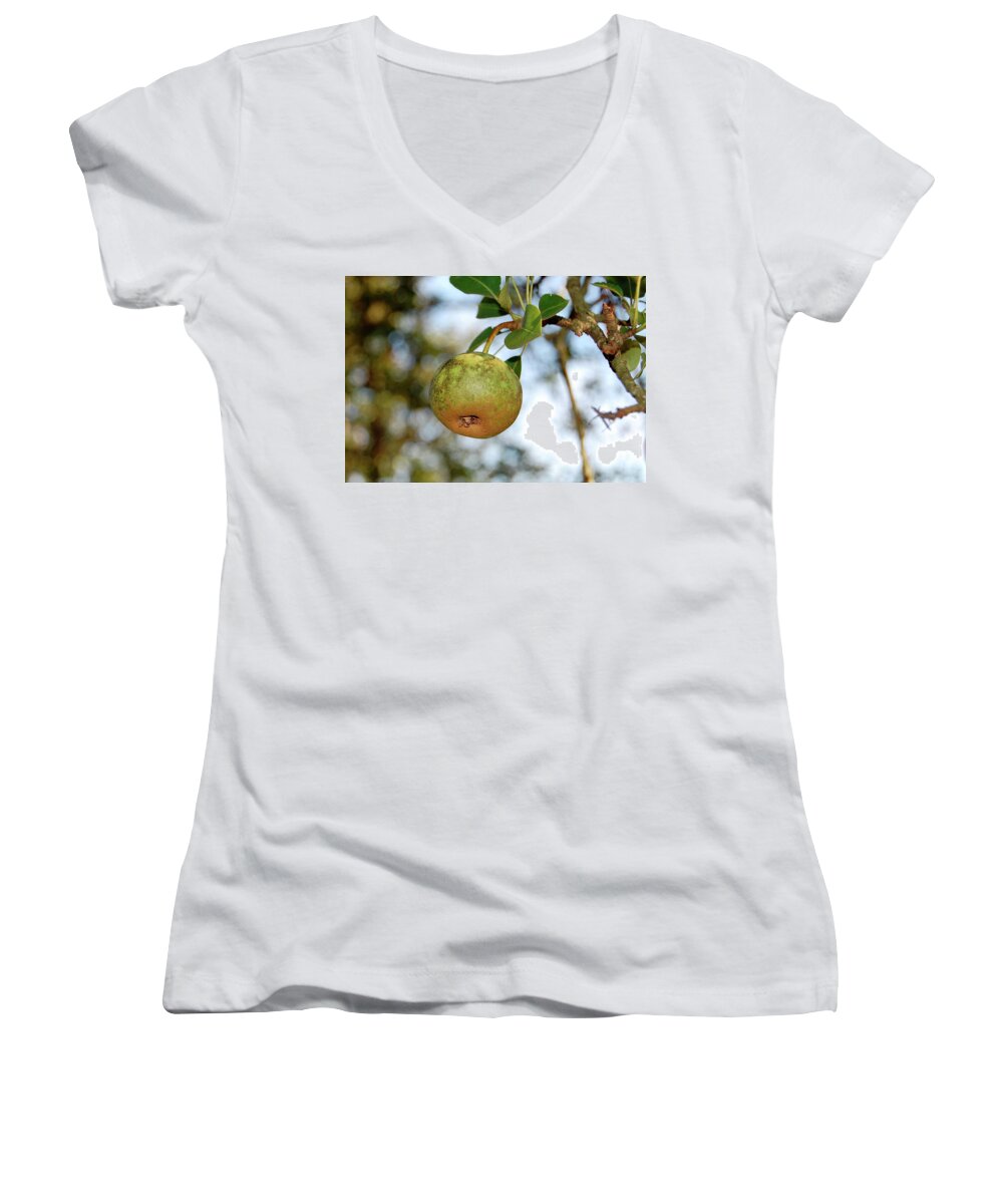 Pear Women's V-Neck featuring the photograph Pear #1 by Amber Flowers