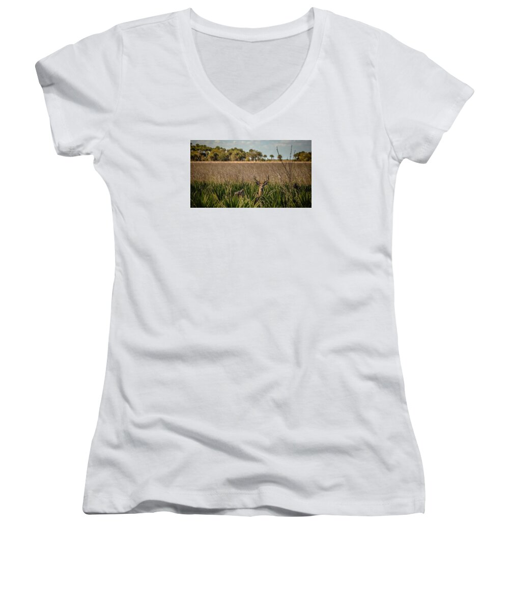 White Tail Women's V-Neck featuring the photograph White Tail #1 by Christopher Perez