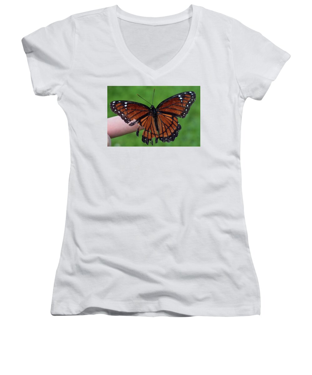 Photograph Women's V-Neck featuring the photograph Viceroy Butterfly #2 by Larah McElroy
