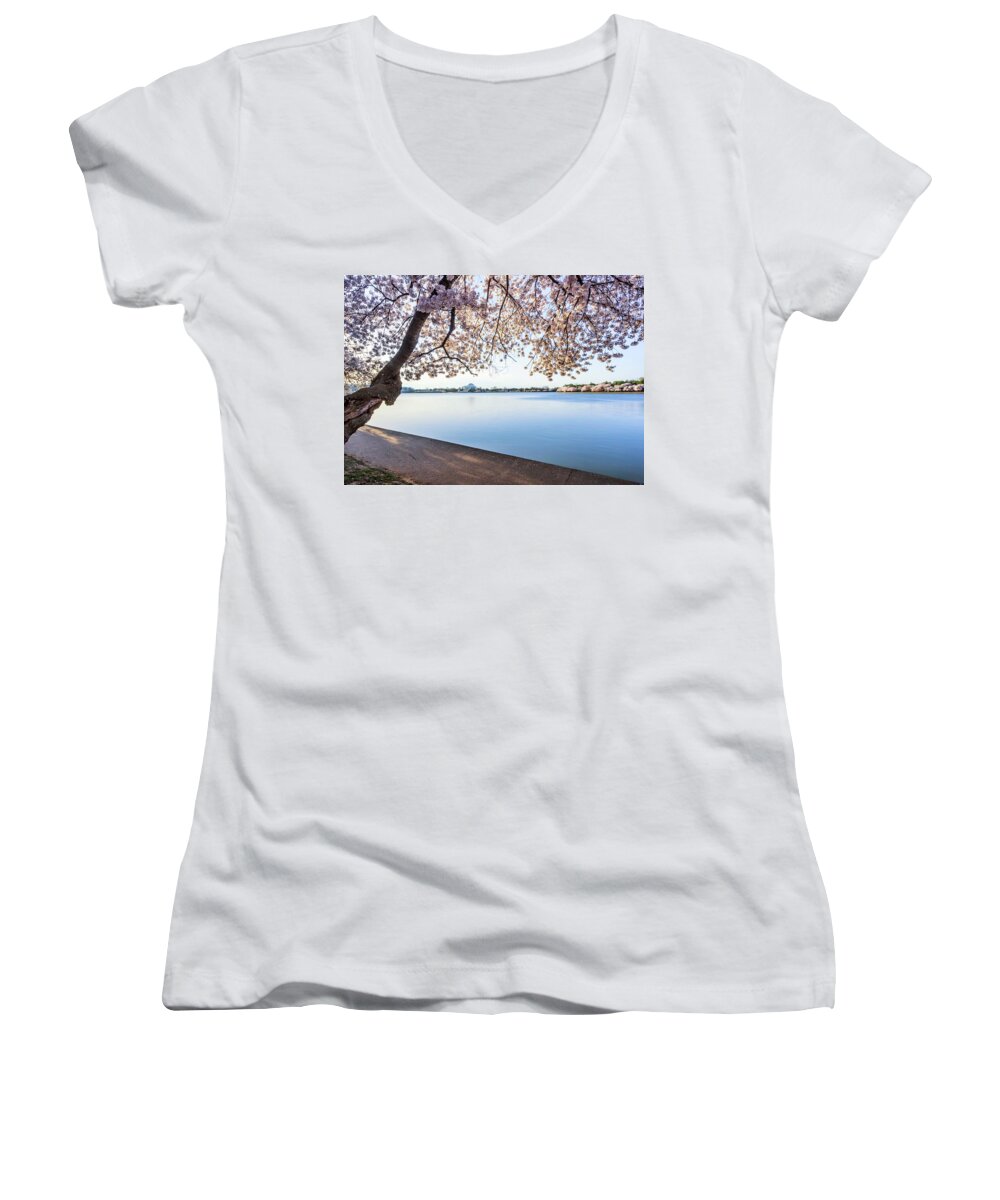 Cherry Blossoms Women's V-Neck featuring the photograph A Classic by Edward Kreis