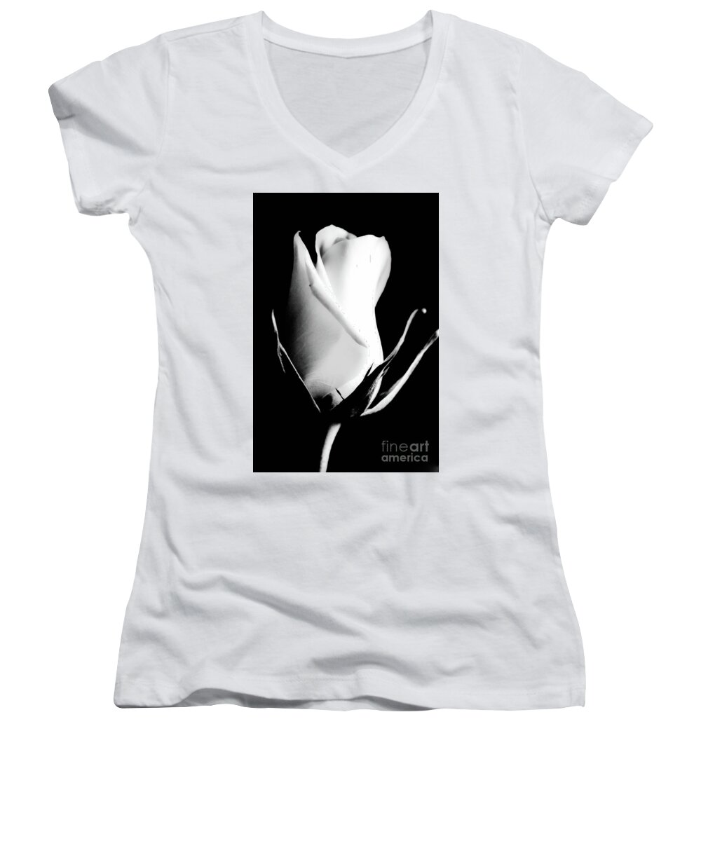 Rose Women's V-Neck featuring the photograph A single white rose by Gerald Kloss