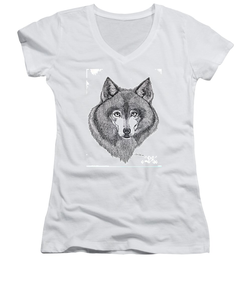 Dog Women's V-Neck featuring the drawing Alaskan Husky by Nick Gustafson
