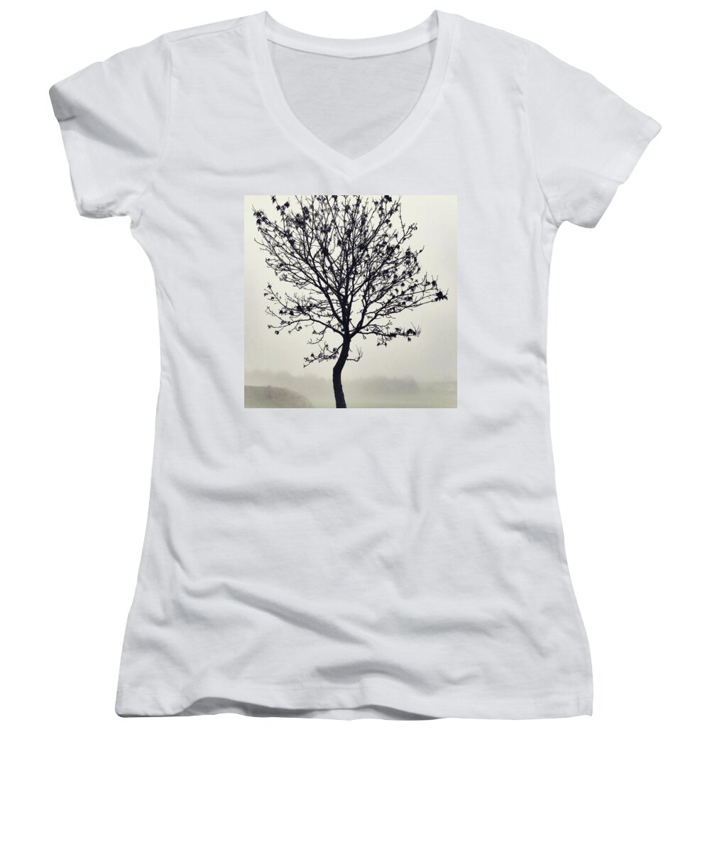 Tree Women's V-Neck featuring the photograph Another Walk Through The by John Edwards