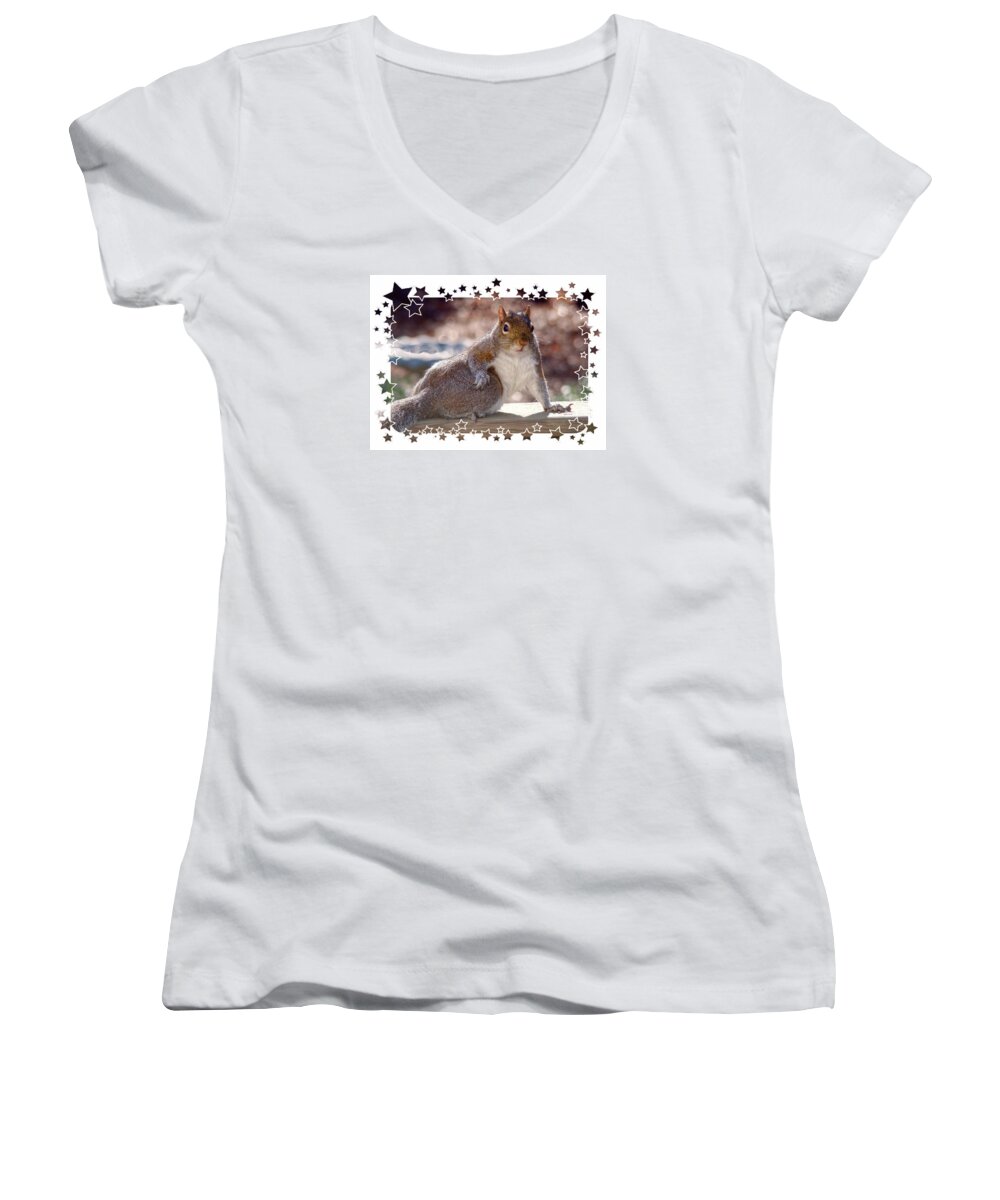 Squirrel Women's V-Neck featuring the photograph The Show Off by Sue Melvin