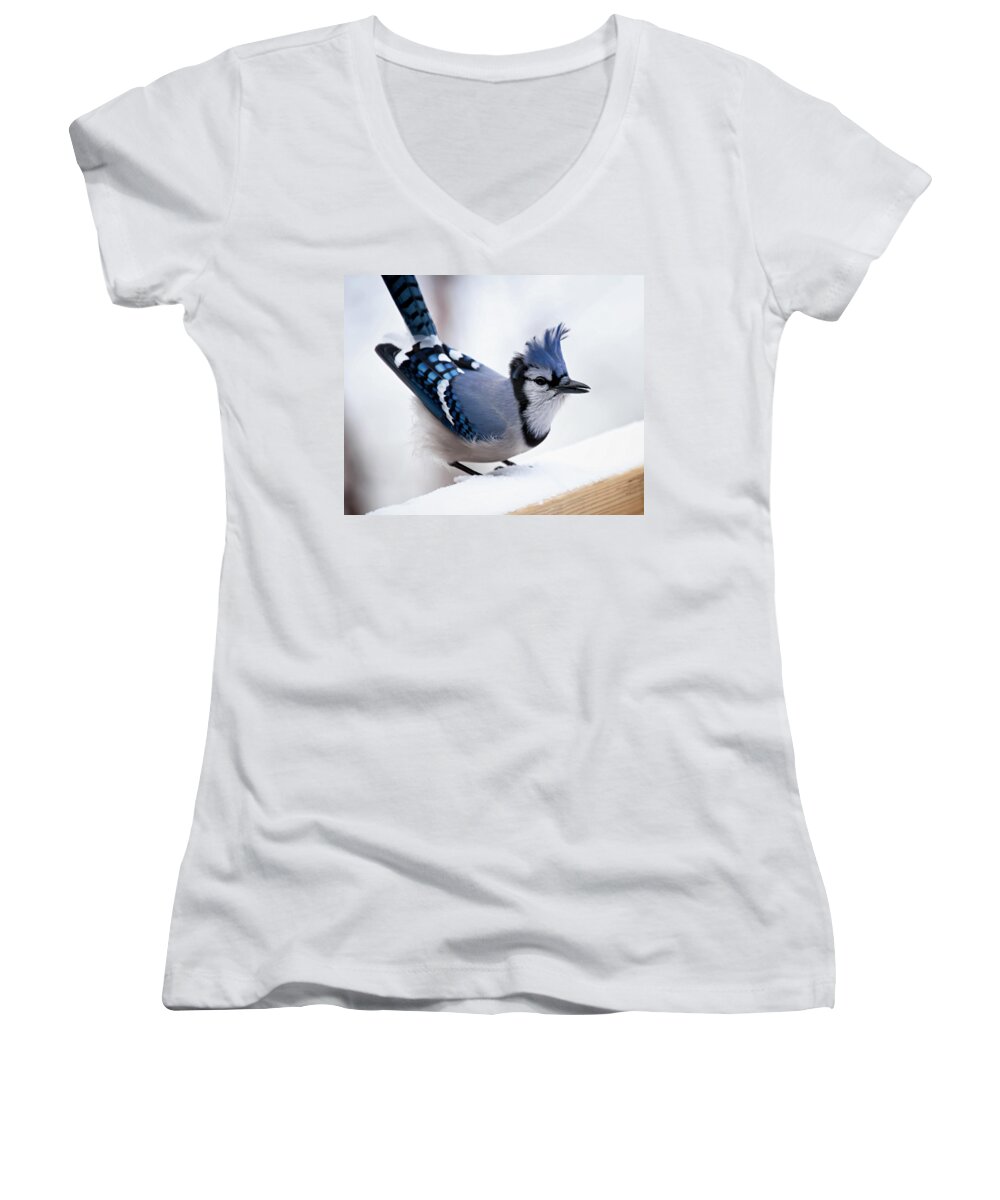Blue Jay' Women's V-Neck featuring the photograph Bad feather day by Al Mueller