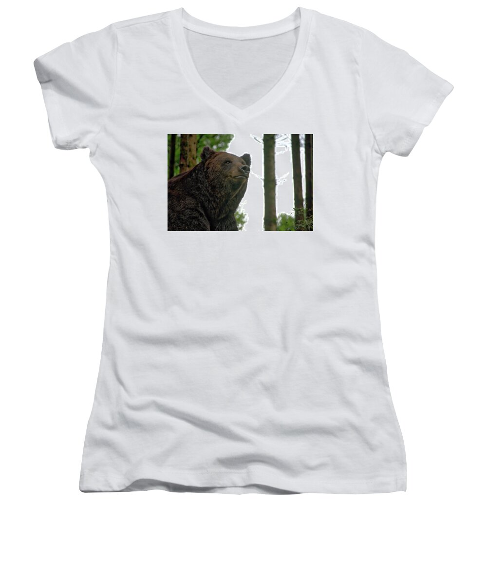 Nature Women's V-Neck featuring the photograph Bear by Ingrid Dendievel