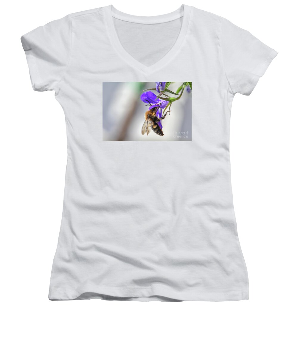 Bee Women's V-Neck featuring the photograph Bee on purple flower by Patricia Hofmeester