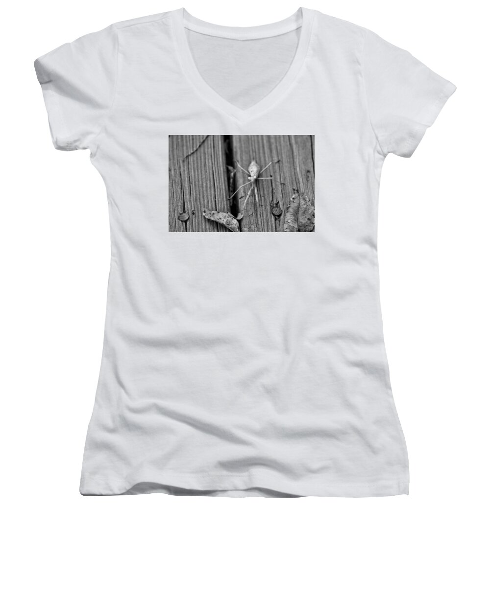 Mantis Women's V-Neck featuring the photograph Being Judged by Joseph Caban