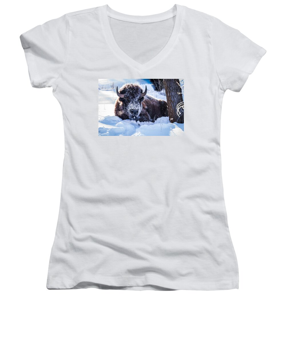 Bison Women's V-Neck featuring the photograph Bison At Frozen Dawn by Yeates Photography