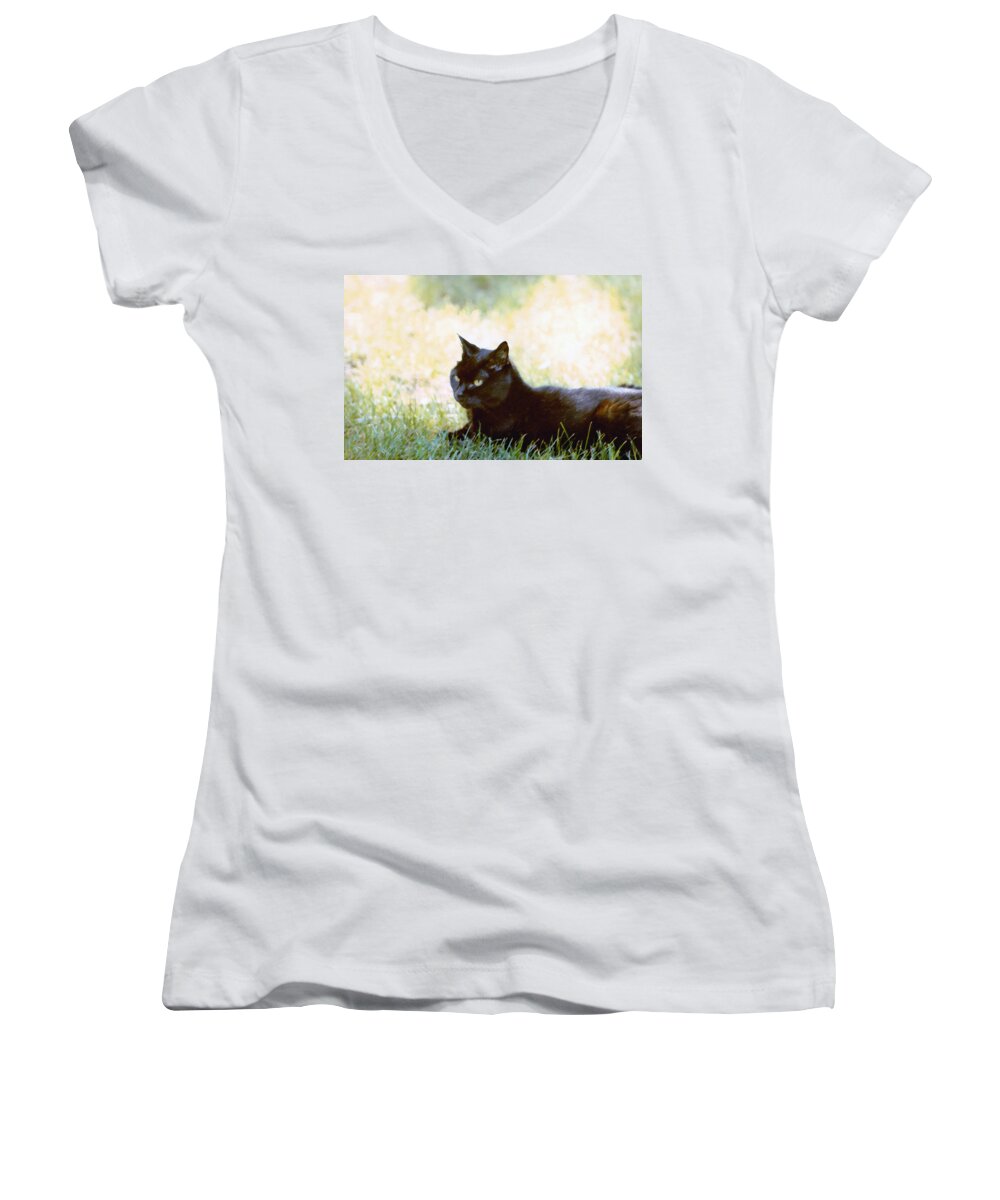 Black Cat Women's V-Neck featuring the photograph Black Cat in the Sun by Geoff Jewett