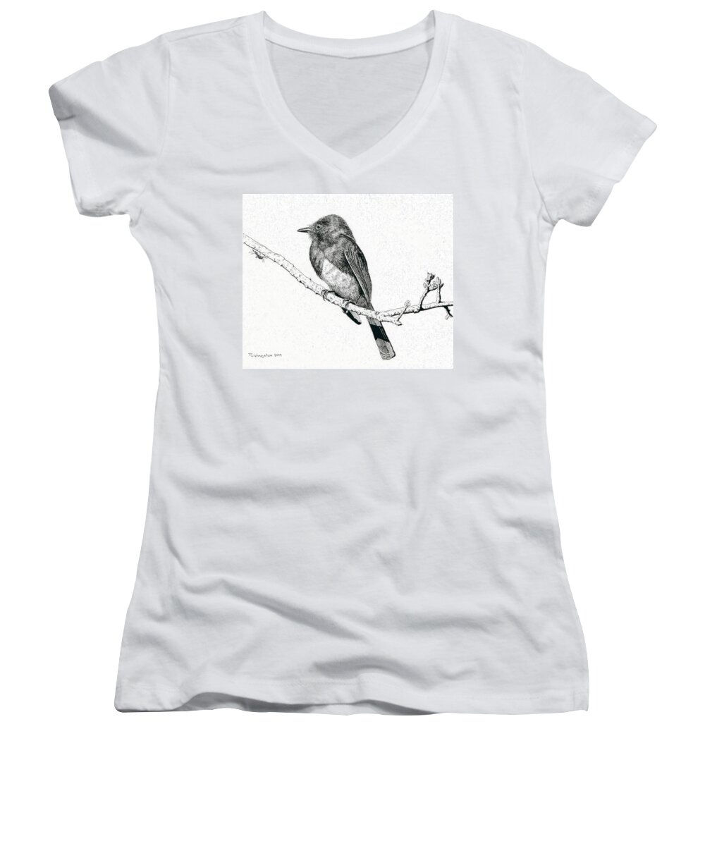 Phoebe Women's V-Neck featuring the drawing Black Phoebe by Timothy Livingston