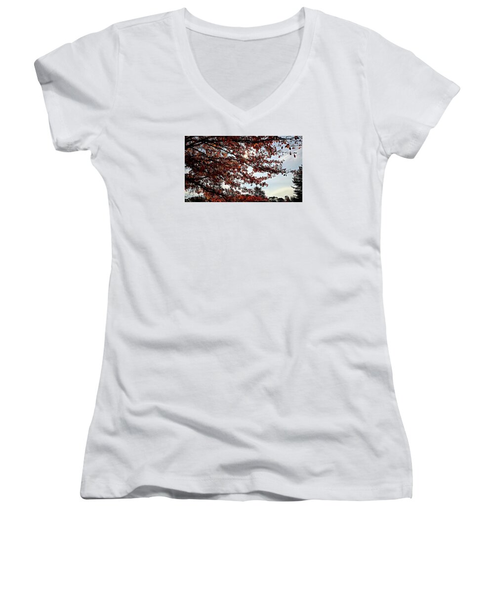 Colorful Women's V-Neck featuring the photograph Blister by Jana E Provenzano