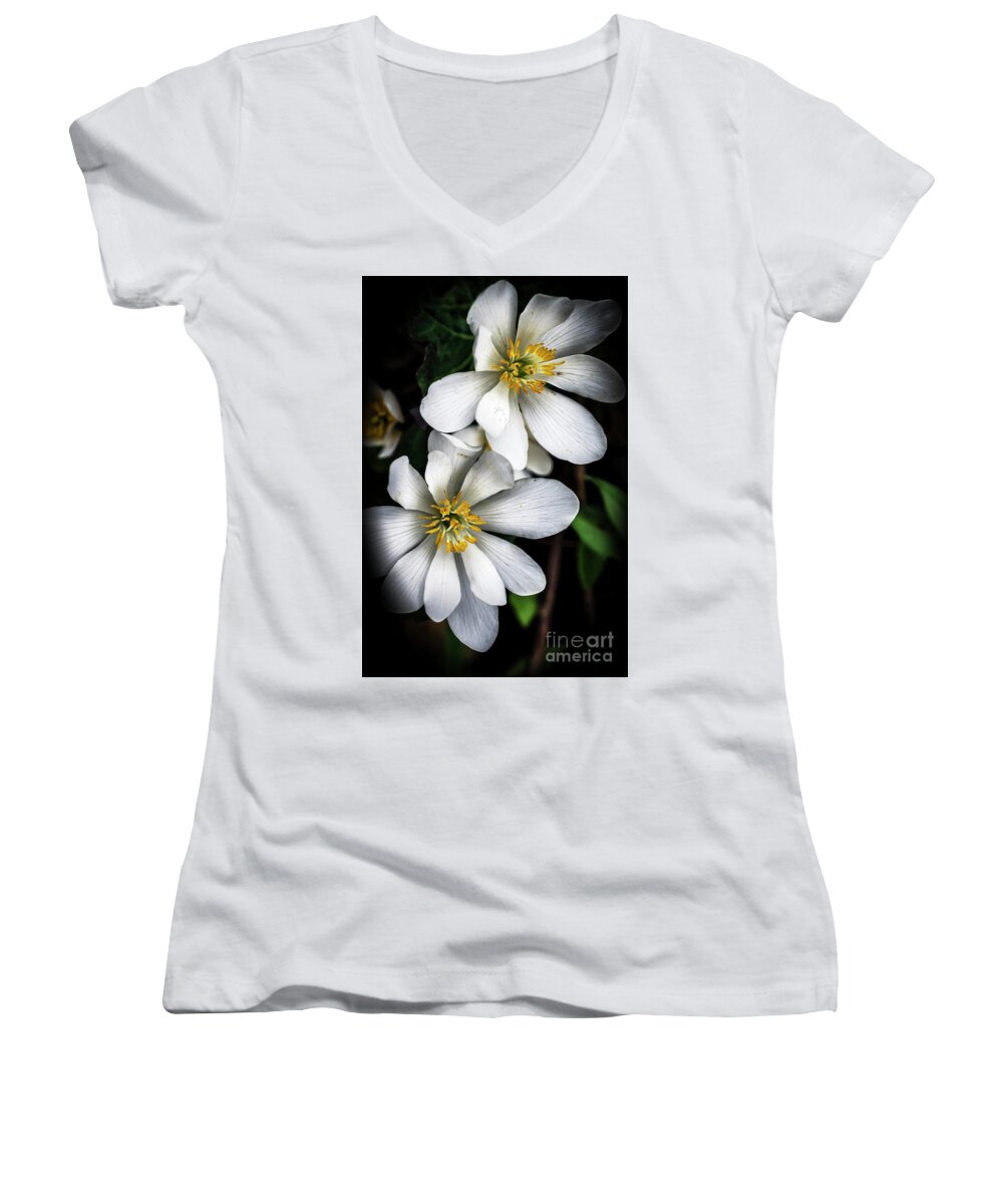 Bloodroot Women's V-Neck featuring the photograph Bloodroot in Bloom by Thomas R Fletcher