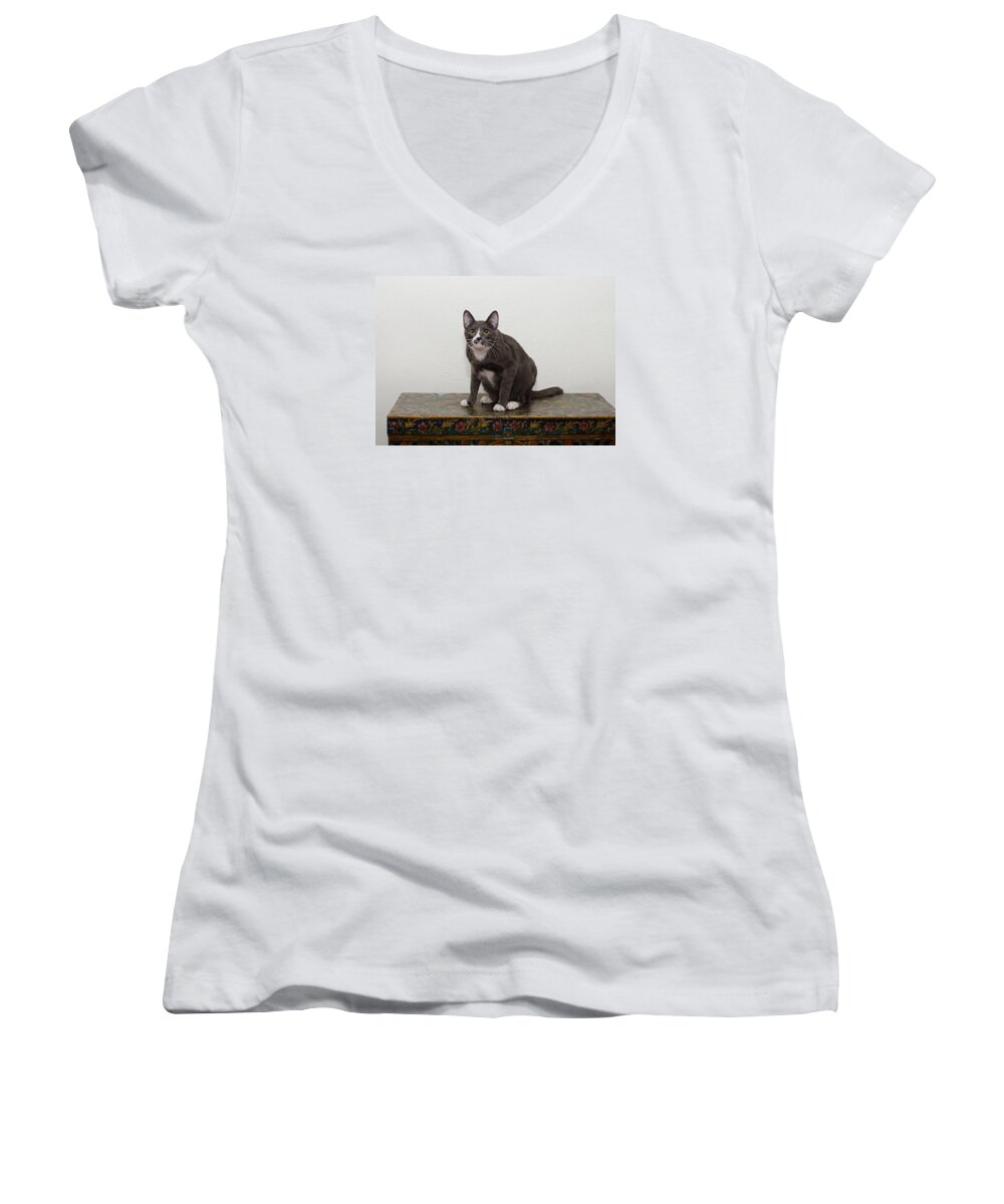 Grey And White Cat Women's V-Neck featuring the photograph Blue 1 by Irina ArchAngelSkaya