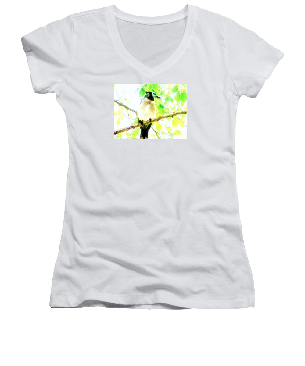 Bluejay Women's V-Neck featuring the photograph Blue Jay III by Clarice Lakota