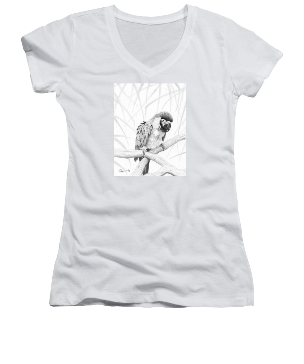 Parrot Women's V-Neck featuring the drawing BW Parrot by Phyllis Howard