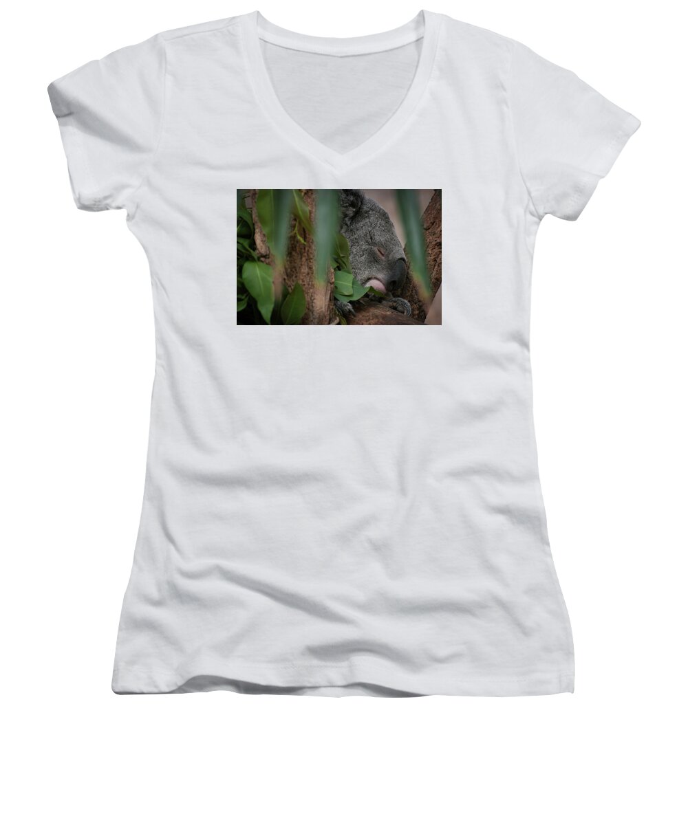 Photography Women's V-Neck featuring the photograph Canopy Nap by Kathleen Messmer